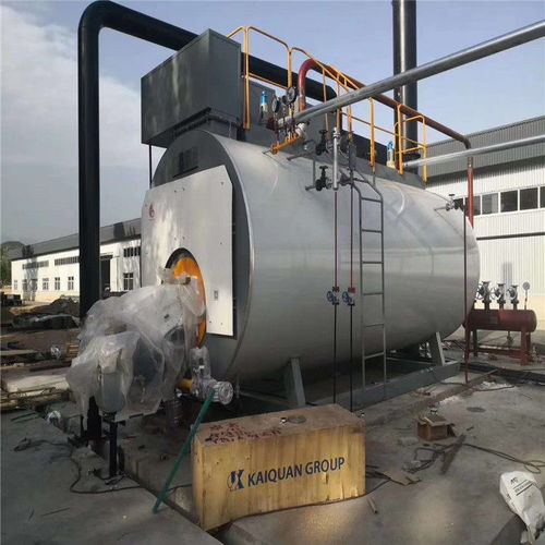 那曲巴青縣6噸燃?xì)忮仩t價(jià)格